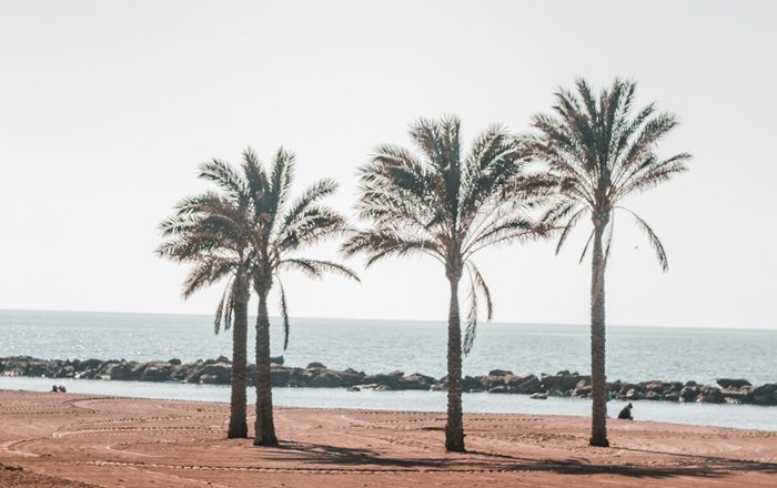 Almeria - Nador: Biglietti e rotte dei traghetti